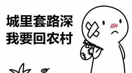 裝修，為什么選擇三葉石裝飾？