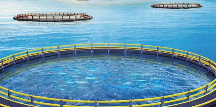 從零開始 | HDPE管材——風(fēng)浪中的傾情守護(hù)