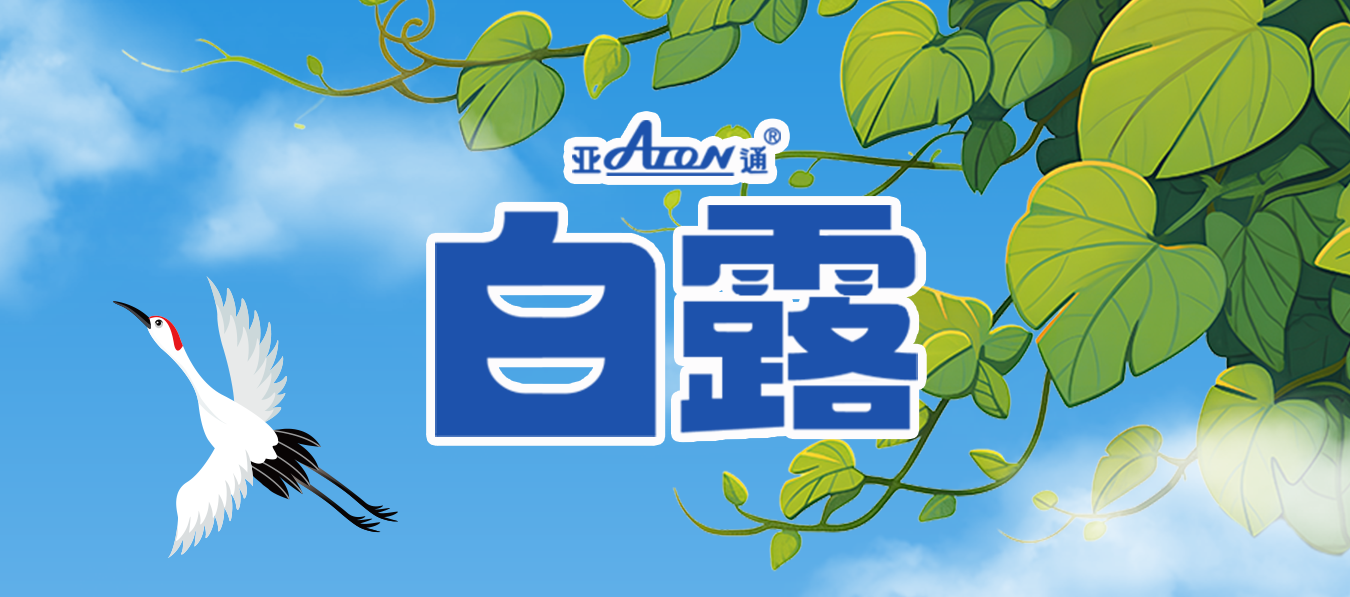 白露 | 日漸轉(zhuǎn)涼，寒生凝露