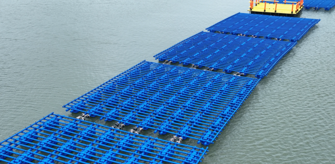 亞通資訊 | 無懼超強(qiáng)臺風(fēng)”摩羯”考驗，亞通新型環(huán)保塑膠蠔排助力湛江蠔業(yè)發(fā)展！