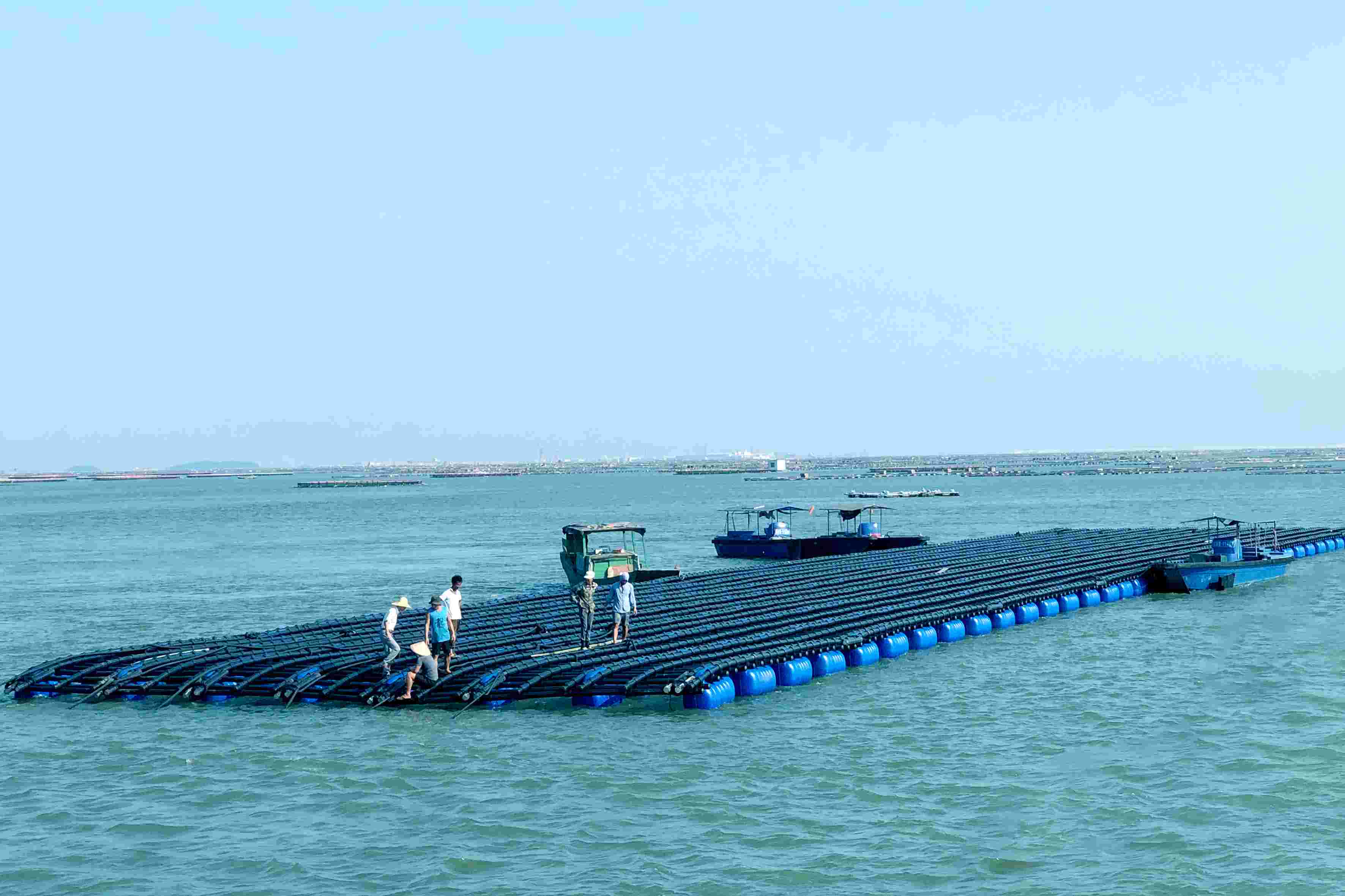 亞通海洋養(yǎng)殖裝備設(shè)施系統(tǒng)-深?？癸L(fēng)浪蠔排(第一代)