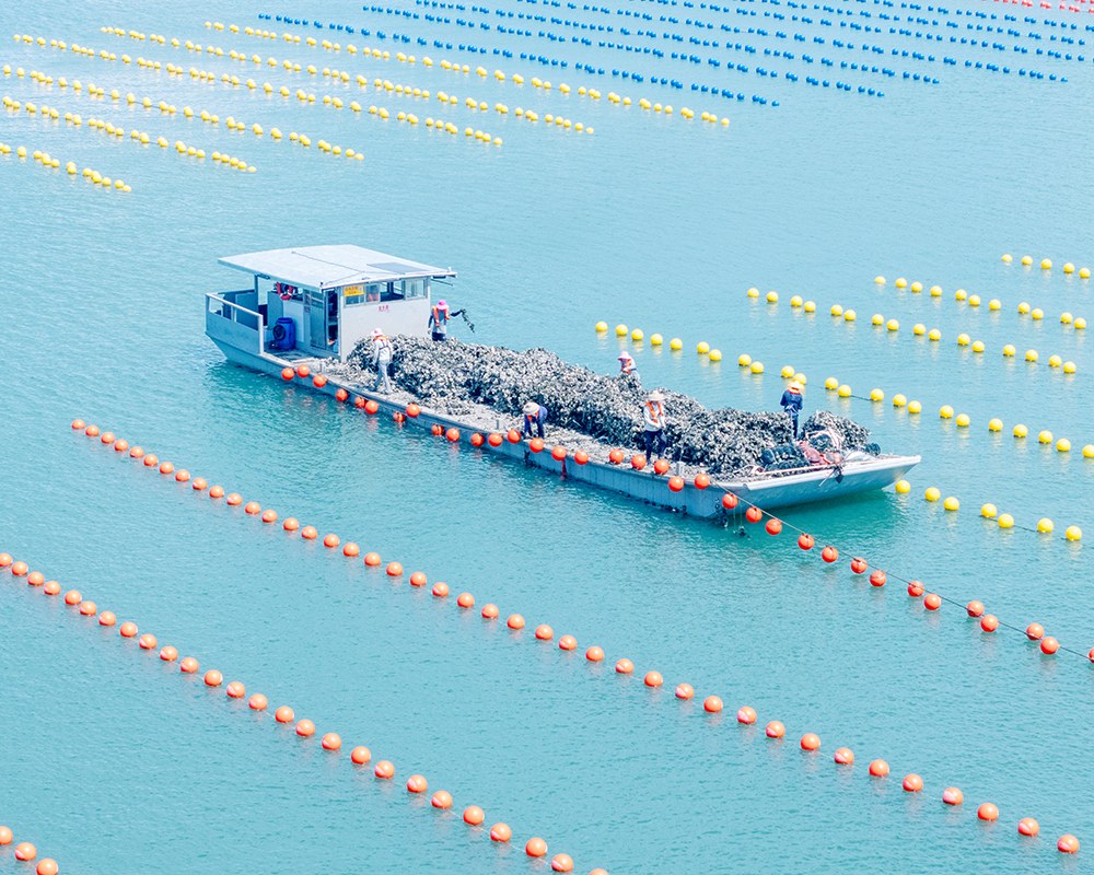 亞通海洋養(yǎng)殖裝備設(shè)施系統(tǒng)-筏式吊養(yǎng)浮球