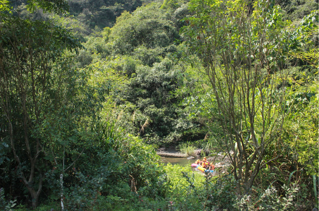 1600244333547880.png 圖片 5.png