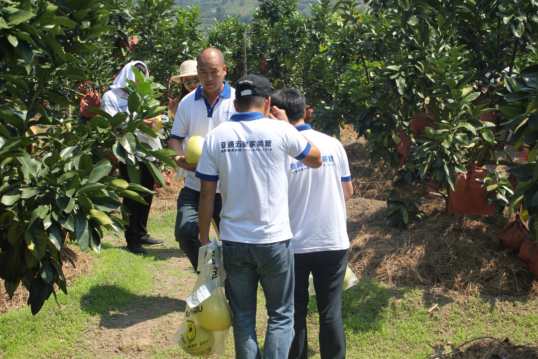 1600246149224453.png 圖片 34.png