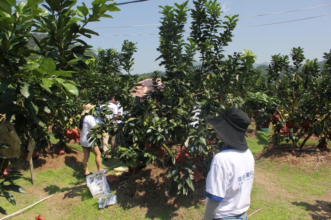 1600246196248379.png 圖片 36.png