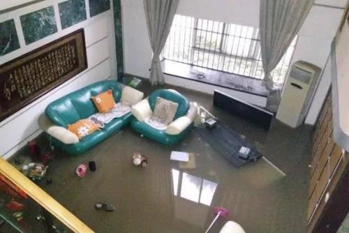 1628217163960297.jpg 9.jpg