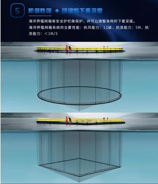 1628822936101959.jpg 12.jpg