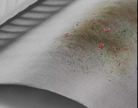 1632294726161240.jpg 6.jpg