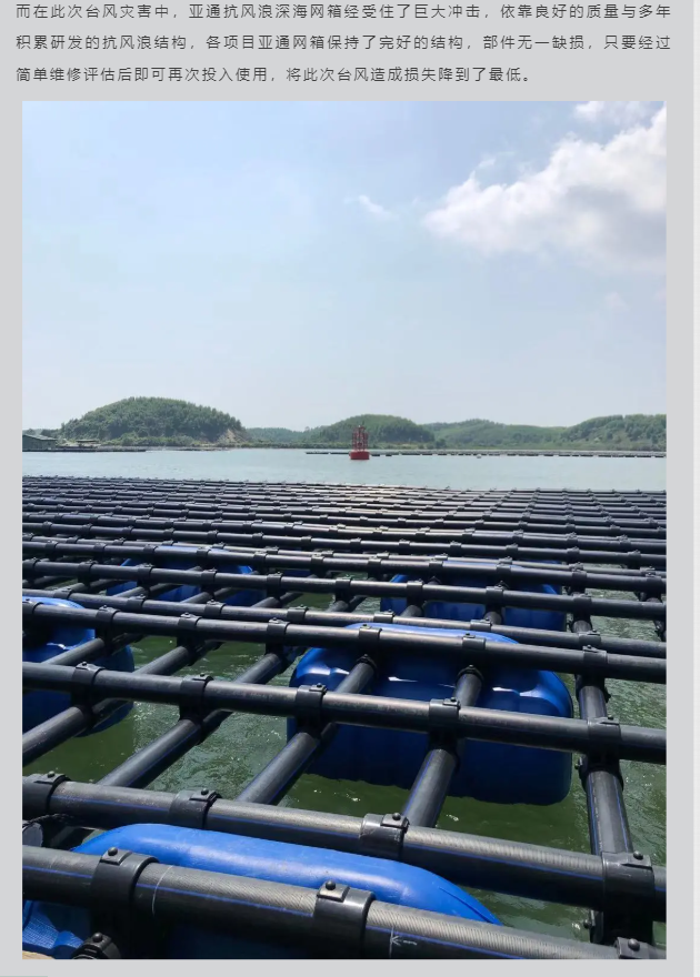 1635324658451188.png 9.png