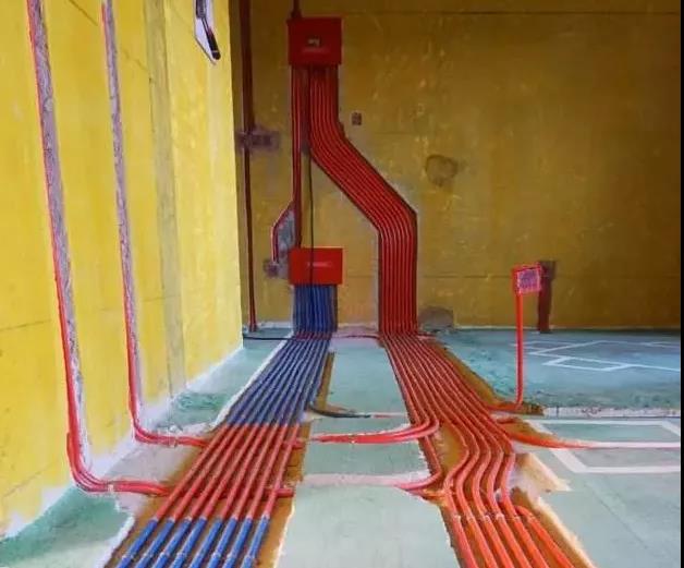 1637652413997950.jpg 2.jpg