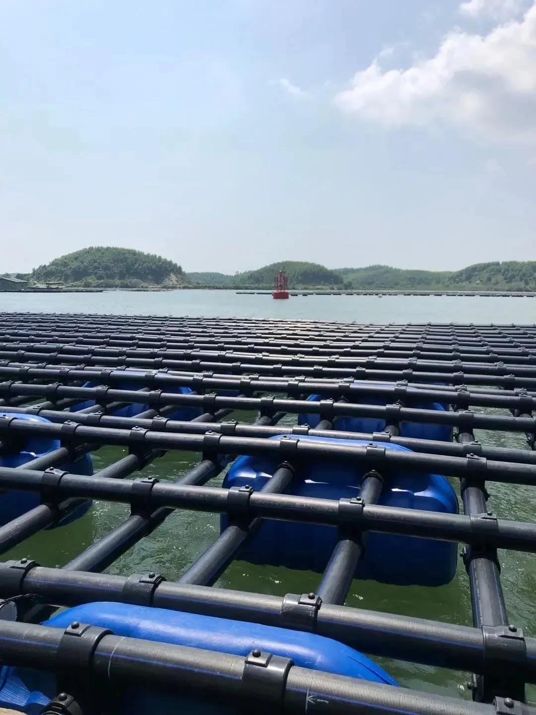 1642390387101167.jpg 24.jpg