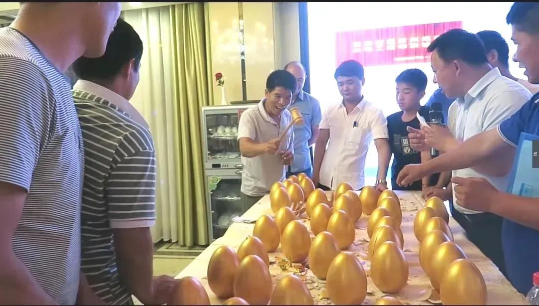 1642390524309656.jpg 32.jpg