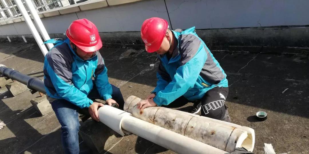 1643016209229058.jpg 9.jpg