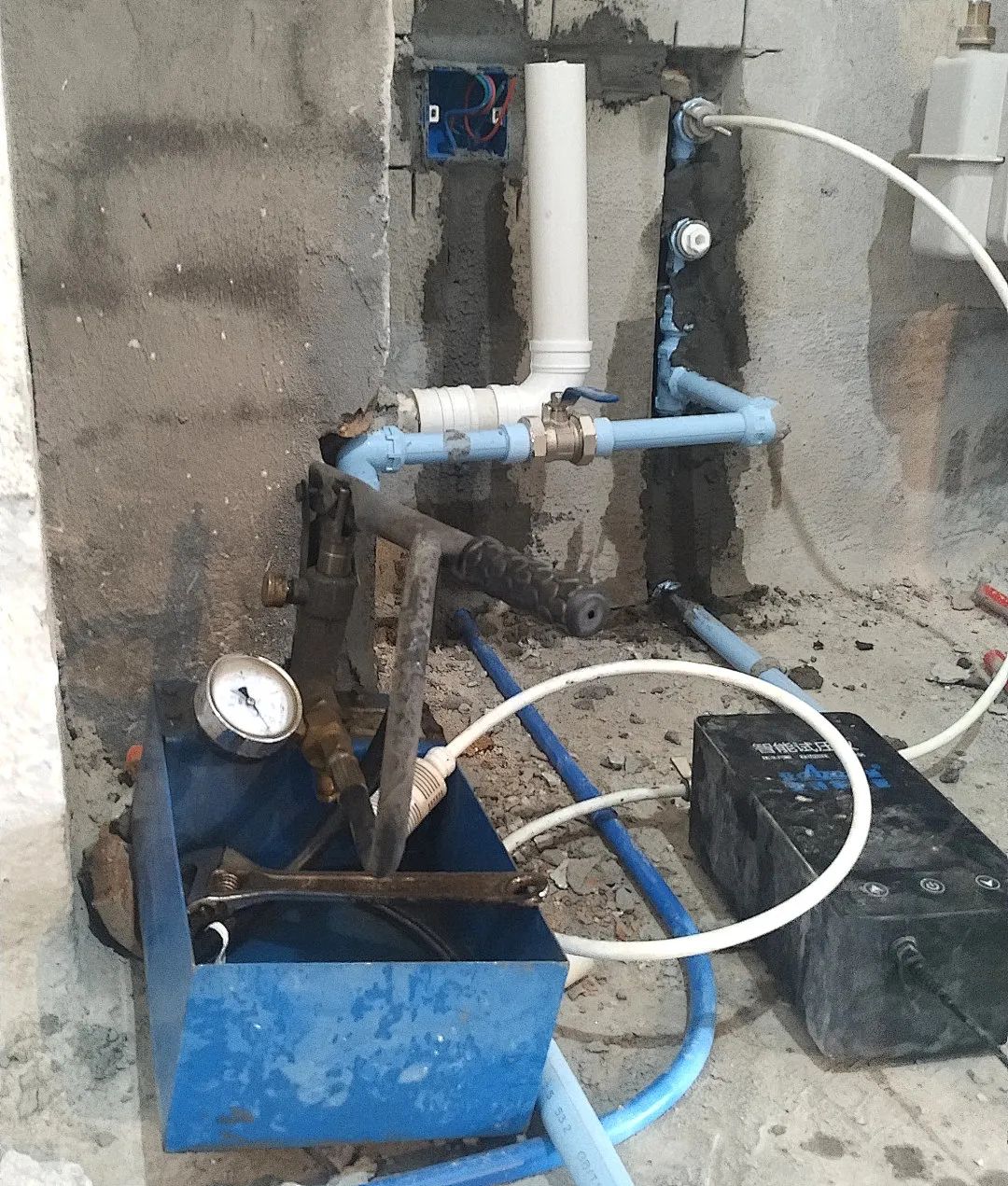 1648636058266538.jpg 5.jpg