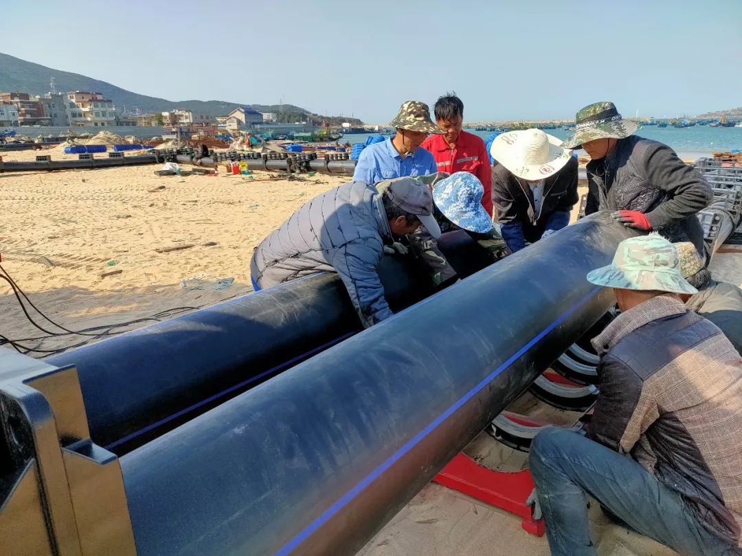 1650263487115570.jpg 2.jpg