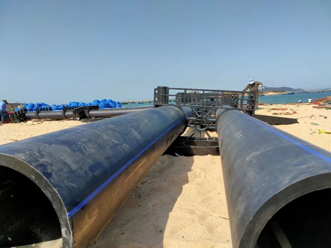 1650263513303244.jpg 3.jpg