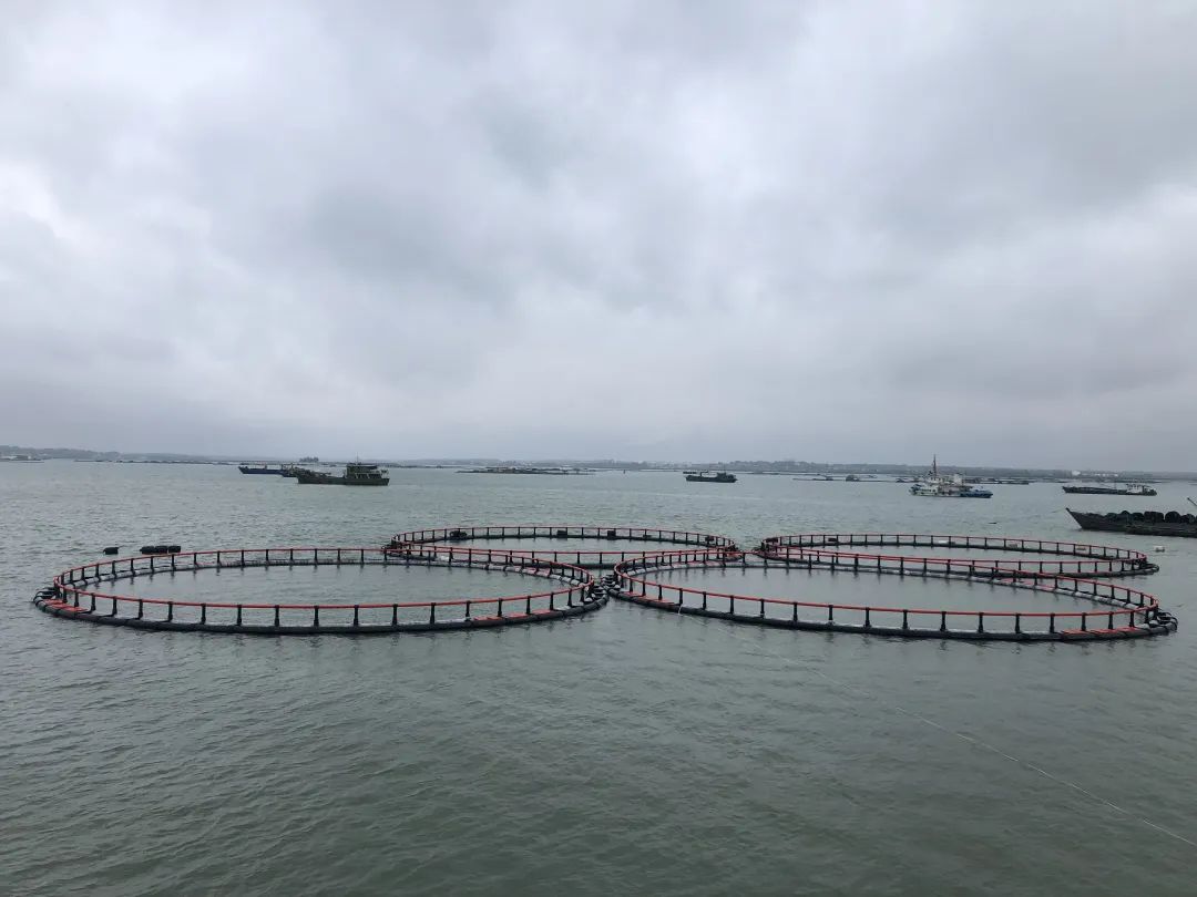 1650263563251865.jpg 5.jpg