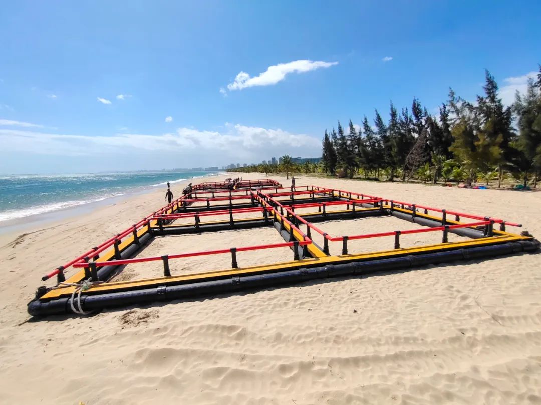 1650263597291798.jpg 7.jpg