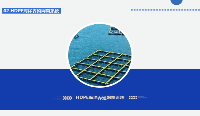 1650264140100380.png 3.png