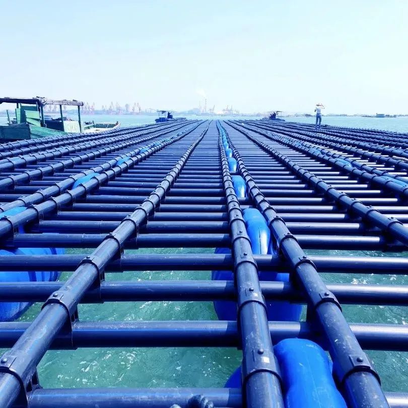 1650264166814376.jpg 5.jpg