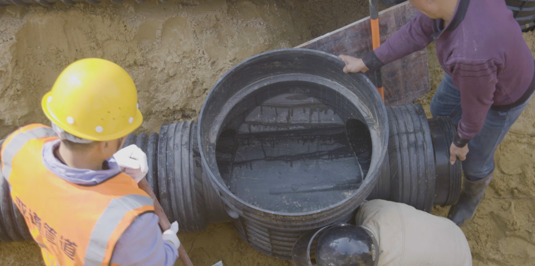 1651725289253887.png 7.png