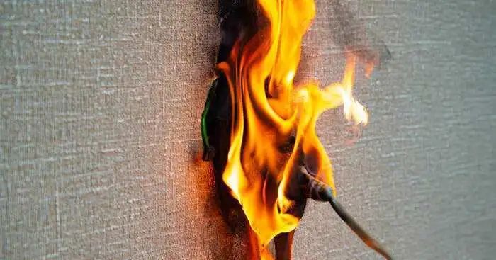 1662362524130227.jpg 3.jpg