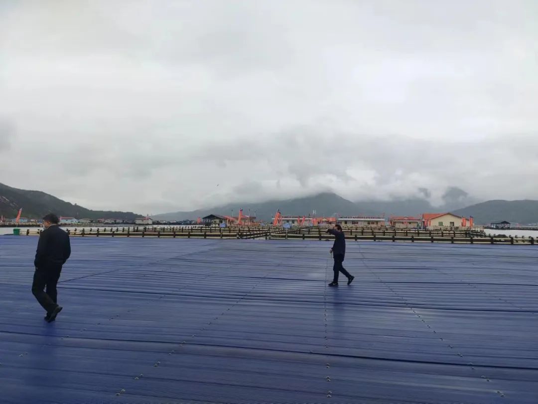 1682576739348987.jpg 15.jpg