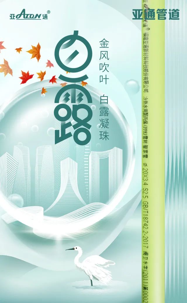 1697073465825779.jpg 白露.jpg