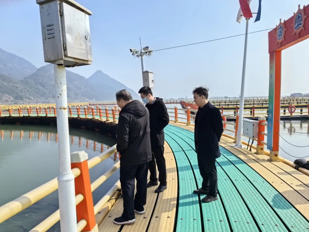 1705455200768676.jpg 13.jpg