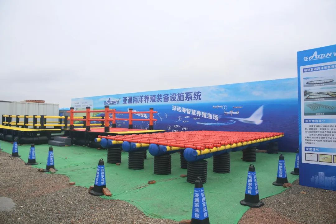 1712890936334443.jpg 10.jpg