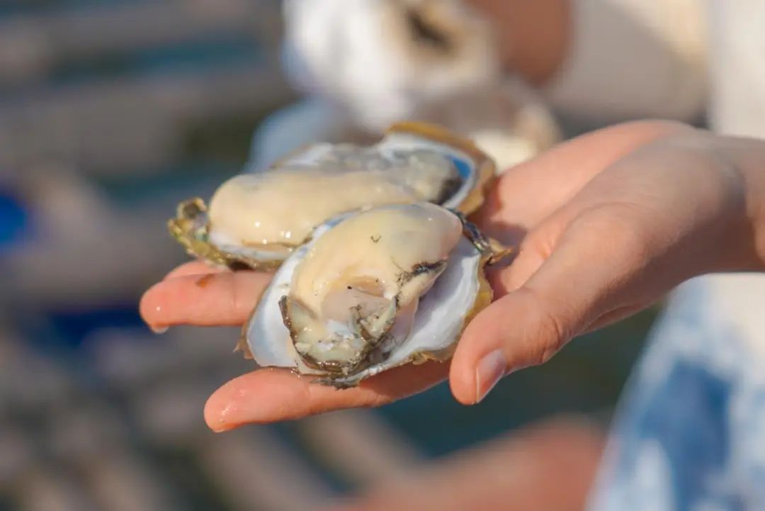 1720598352105234.jpg 9.jpg