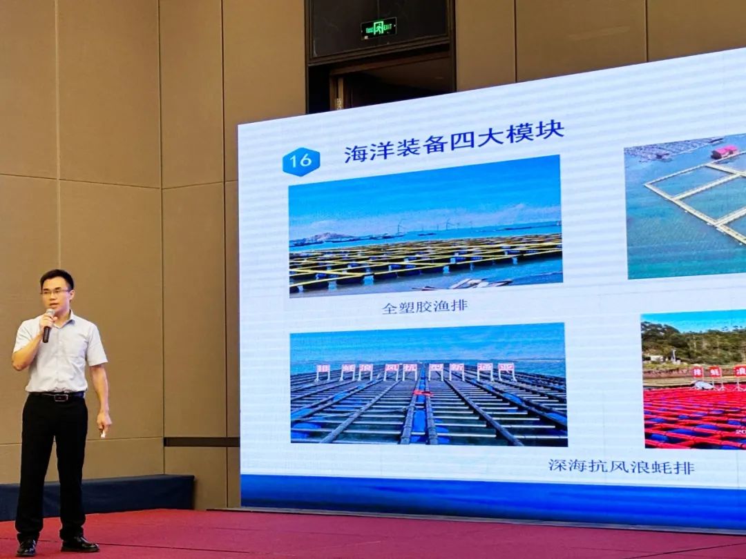 1725353227396537.jpg 12.jpg