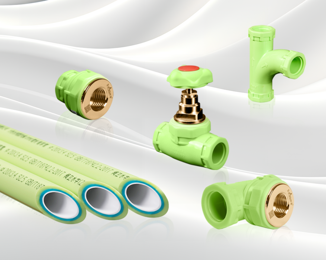 1731132435416676.png 1.png