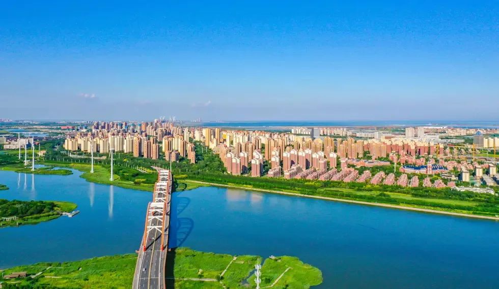 1746762115120923.jpg 6.jpg