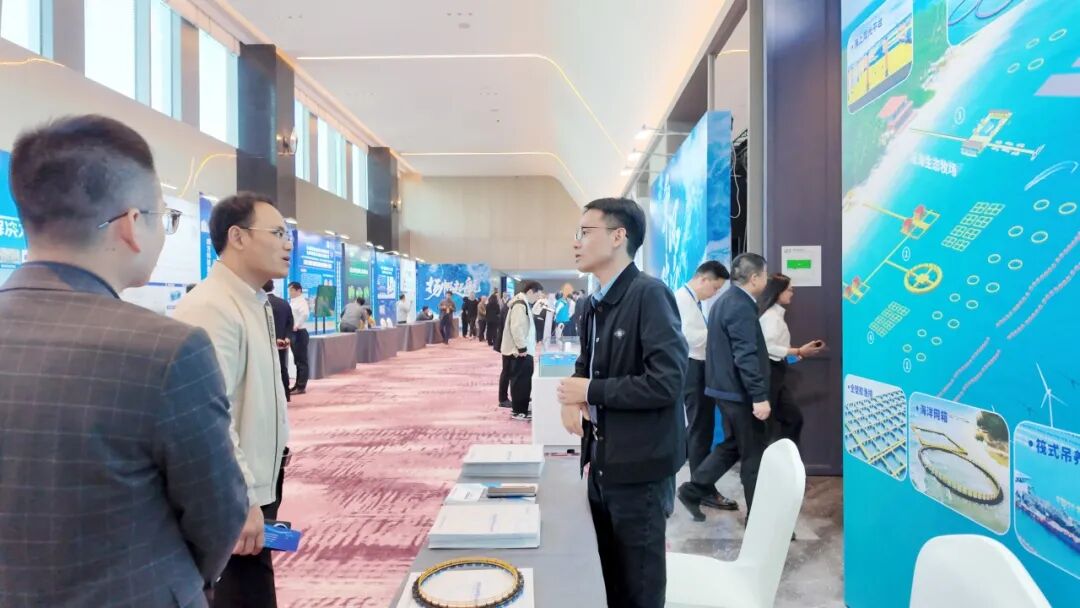 1765347152815581.jpg 5.jpg