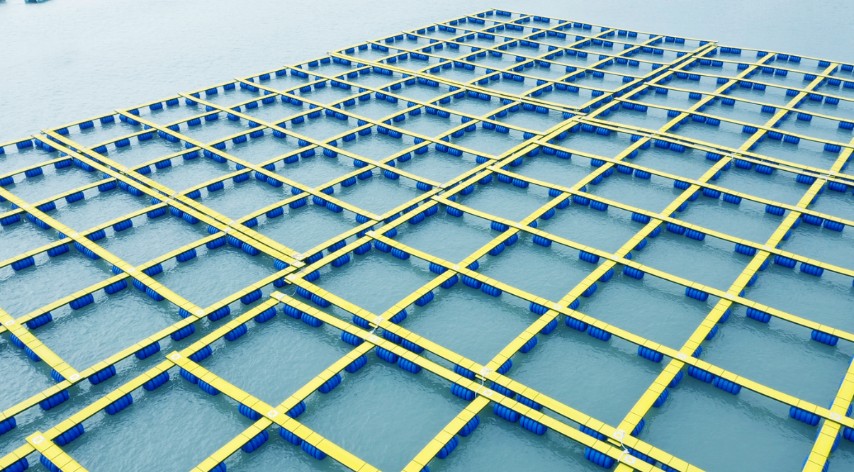 1772261614622626.png 泉州惠安全塑膠漁排項(xiàng)目.png