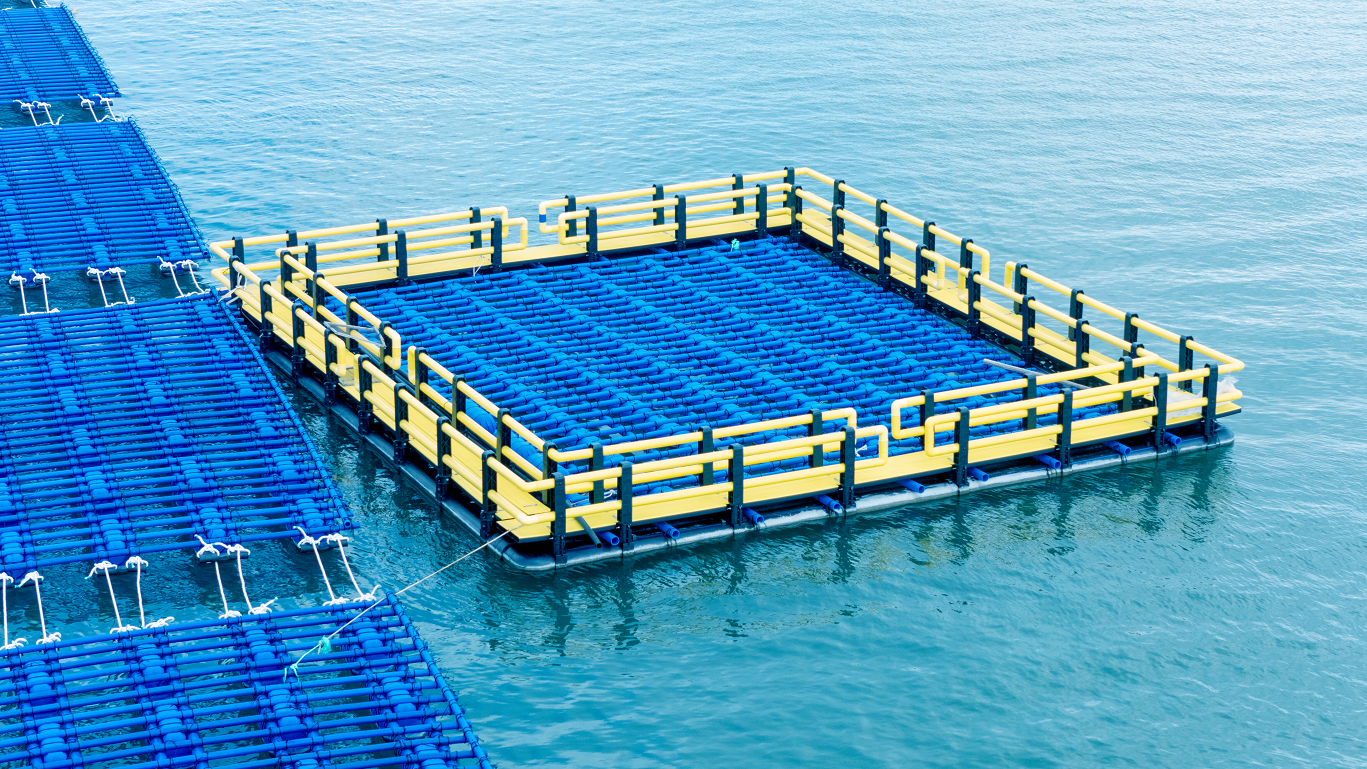 廣東深海抗風(fēng)浪蠔排項(xiàng)目.png